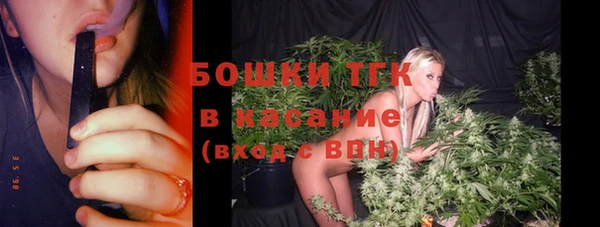 гидра Краснослободск