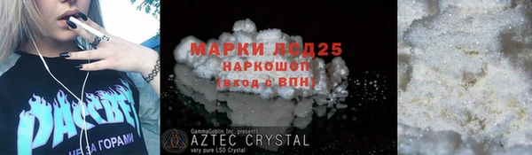 гидра Краснослободск