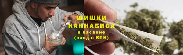 гидра Краснослободск