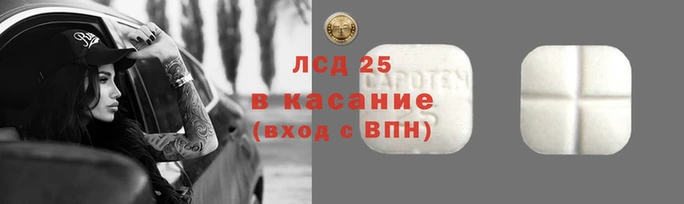 гидра Краснослободск