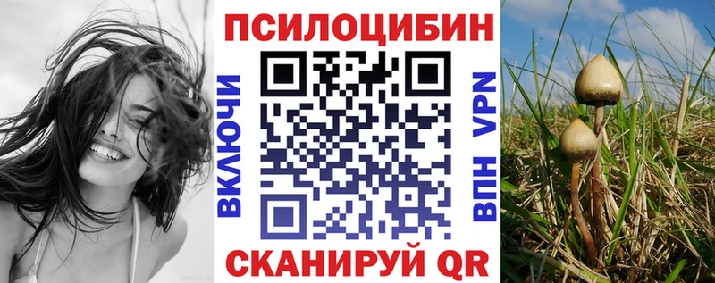 Галлюциногенные грибы MAGIC MUSHROOMS  Павловская 