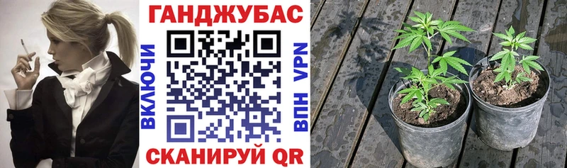 закладка Павловская Марихуана марихуана